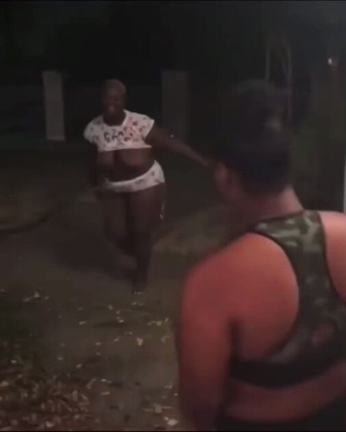 Boobs pop out, as chick with big boobs fights in public, throwing