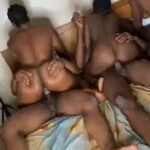 twitter_1883597653608645115__1737920223234_BUSEGU MASTER – ChrisExcel102 Here please Video Cover Pho