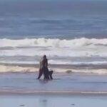 twitter_1919769127465722330__1746789998787_Xpromo – Video Cover Photo