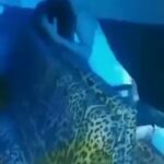 1679675613987196928__1757879422468_Right in the club sexinpu