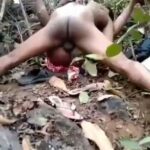 Indian Couple Having Sex In The Bush In Public (18+) Screenshot_20251011-131122