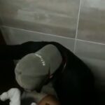 Screenshot_20251103-023559