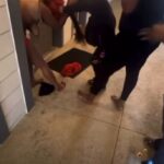 twitter_2001478116825534630__1766080404890_Rofl fights - i m weak asf i ain t never seen a midget fi
