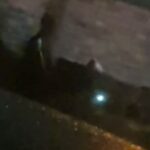 Screenshot_20260327-132217