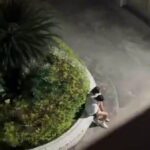Boyfriend Fingering Beautiful Chinese Girl In Public (18+) twitter_2033151474654687346__1773611383158_- Ai Video Cover Photo