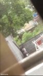 Sexy Indian Couple Seen Having Sex In Public (18+) Screenshot_20260628-124723