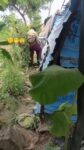 Another Crazy Indian Couple Busted While Having Sex In The Bush (18+) twitter_2069821734866587713__1782394641669_cchloebearr - https t co rbJkTgRwFn Cover Photo
