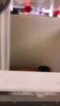 Neighbor Having Sex With American Cheating Wife (18+) twitter_2070229407172796908__1782486861538_Wendy Ryan - https t co rb0yPODeYV Cover Photo