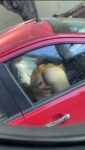 White Couple Having Live Sex In Traffic In Public (18+) Screenshot_20260731-080707