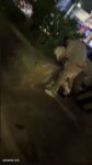 Crazy American Couple Having Sex In Public (18+) 1000882738