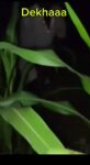 Screenshot_20260924-212225
