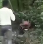 Naked Indian Couple Caught Having Sex In The Bush And Beaten In Public (18+) twitter_2094691689109889206__1788265017951_Alyssa Gabby - https t co hojXZGEp5h Cover Photo
