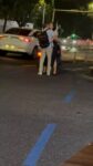twitter_2103676155106894211__1790450463287_- Cover Photo