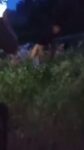 Busted! Beautiful Indian Girl And Boyfriend Caught Fucking On A Farm twitter_2110185253973434450__1791965913208_Adesh 26 - Cover Photo