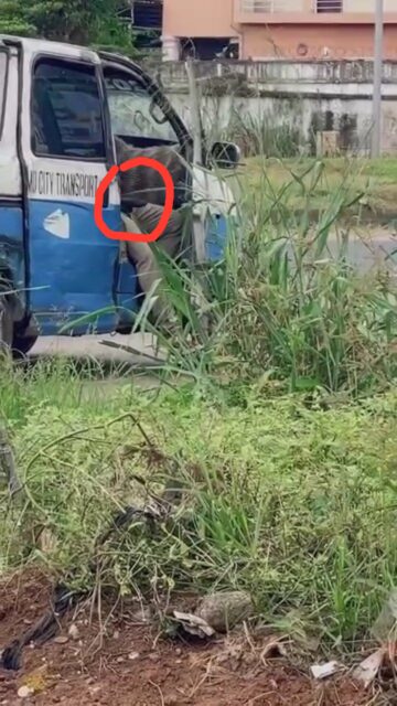 Nigerian Girl Films Bus Driver Masturbating In Public